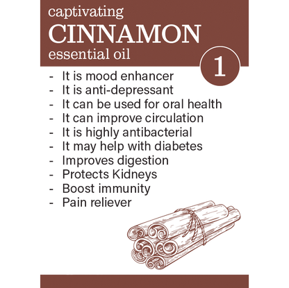 Why use Zesteq Cinnamon Essential Oil