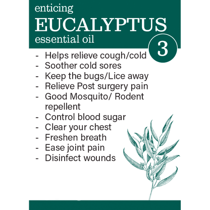 Why use Zesteq Eucalyptus Essential Oil