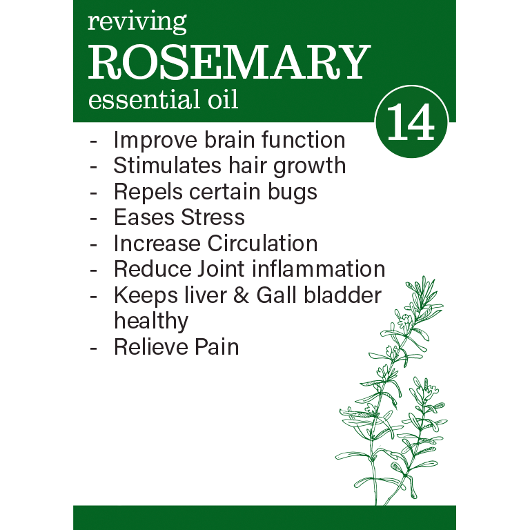 Why use Zesteq Rosemary Essential Oil