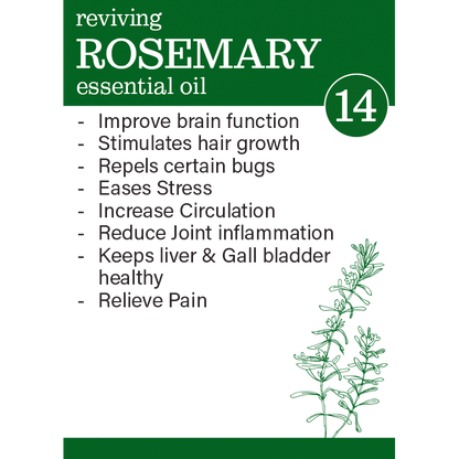 Why use Zesteq Rosemary Essential Oil