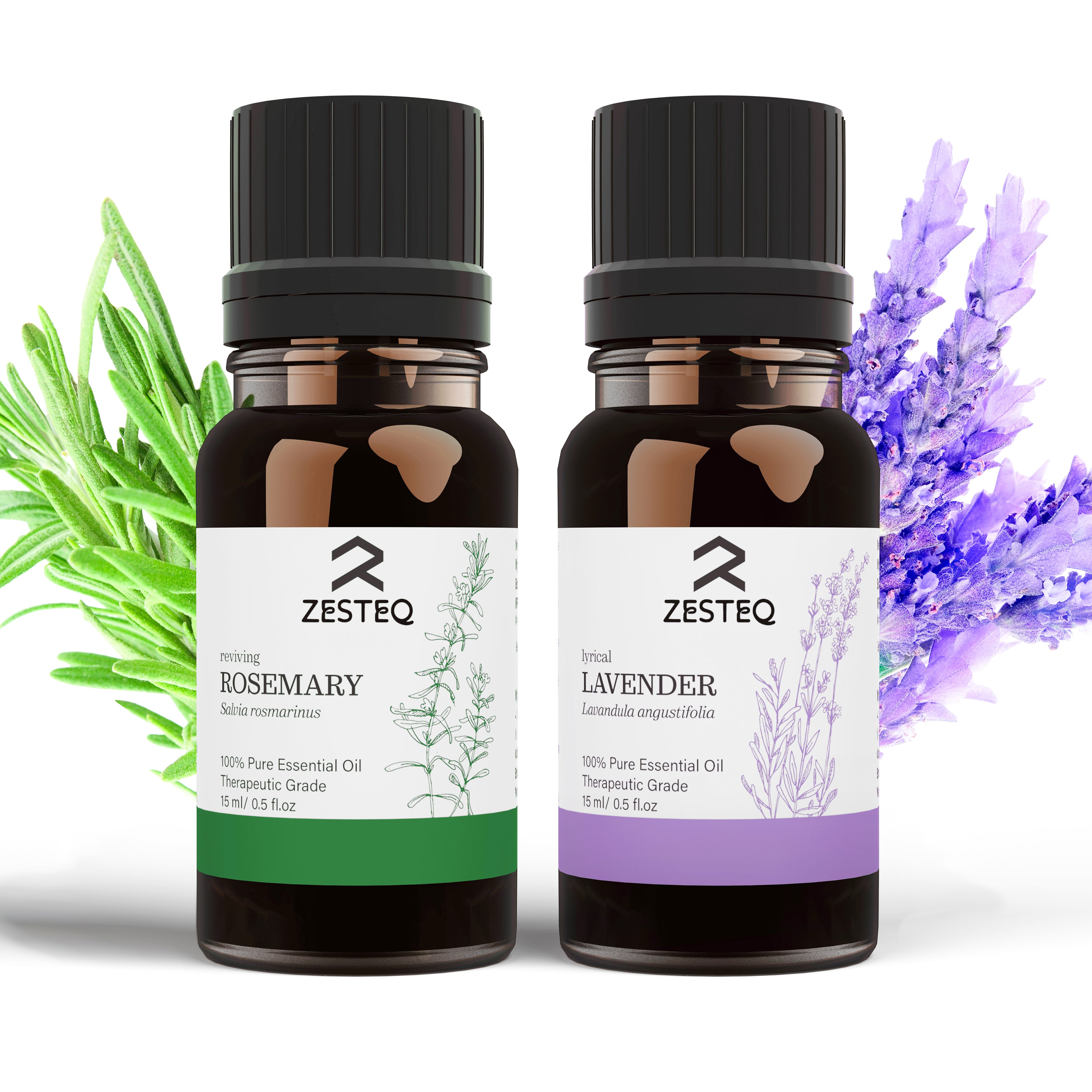 Zesteq Rosemary &amp; Lavender Essential Oil Combo