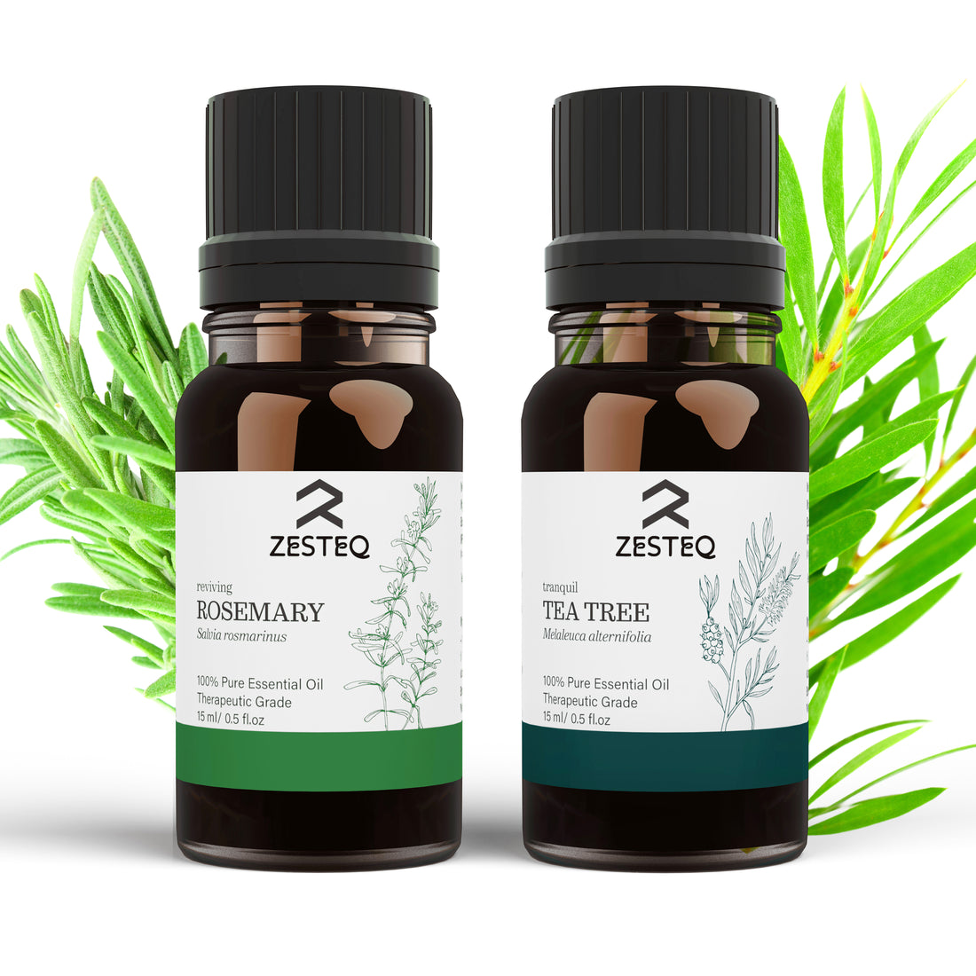 Zesteq Rosemary &amp; Tea Tree Essential Oil Combo