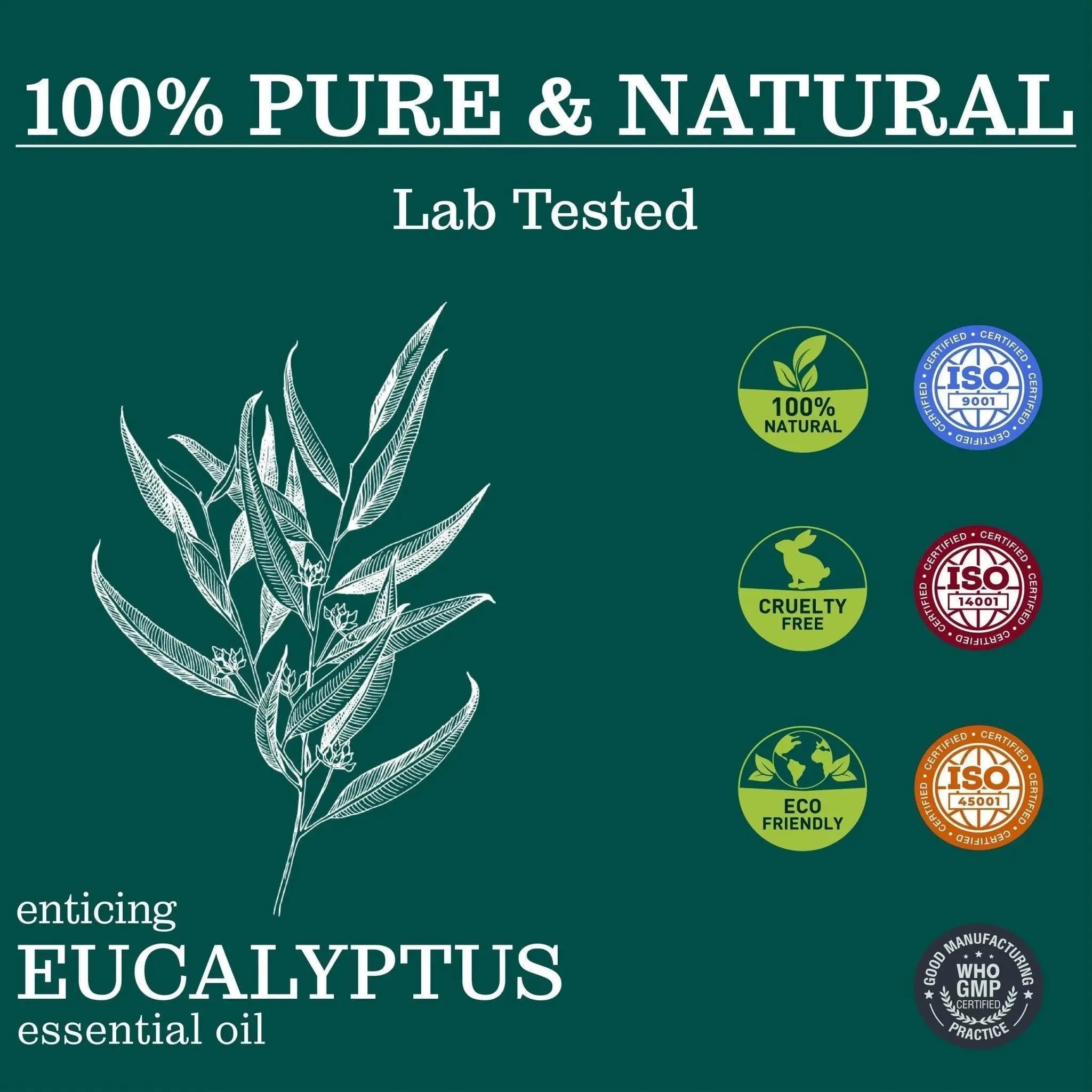 Enticing Eucalyptus Essential Oil - Essential Oils - Zesteq