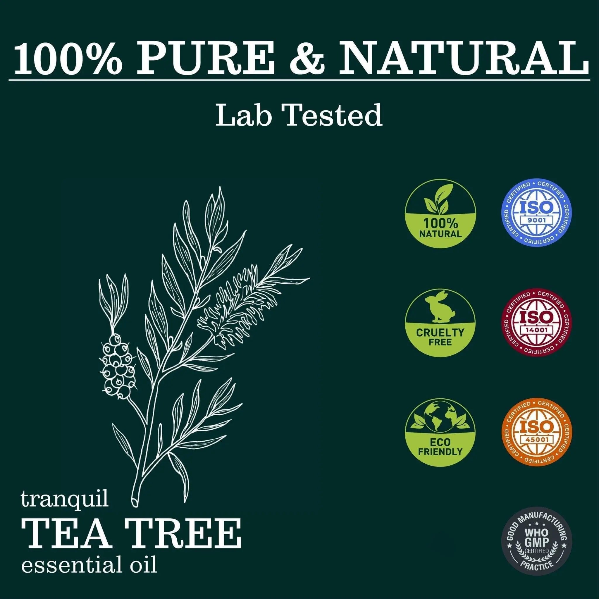 Tranquil Tea Tree Essential Oil - Essential Oils - Zesteq